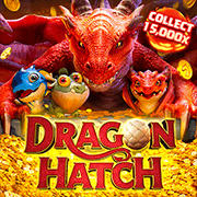 Rồng và Kho báu game cover